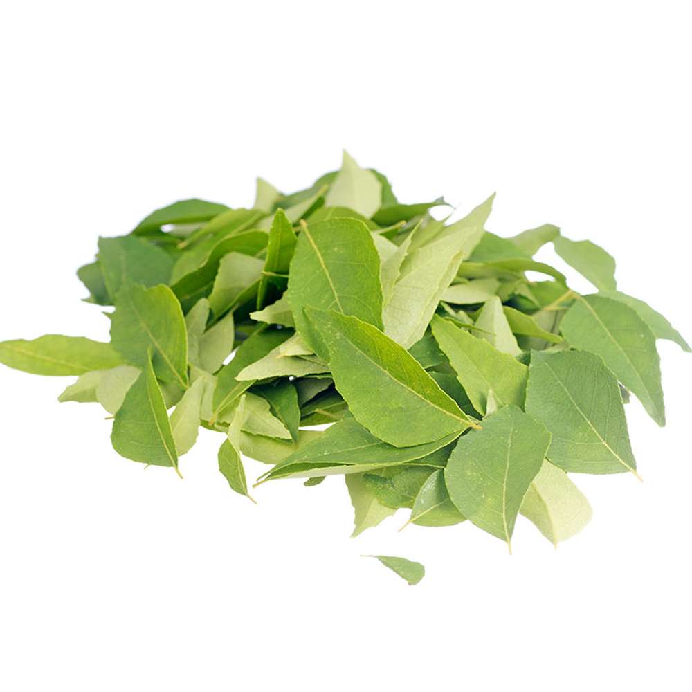 HOJA DE CURRY
