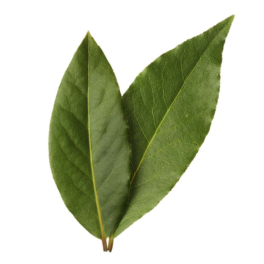 LAUREL